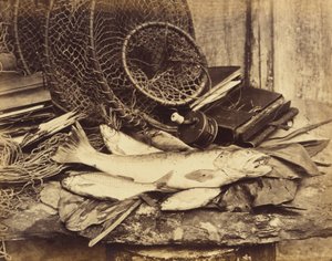 Trota, alborella, ecc. da Henry Bailey